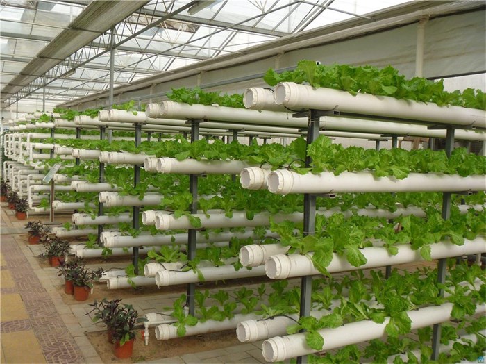 来宾市智能温室种植槽 - 价格