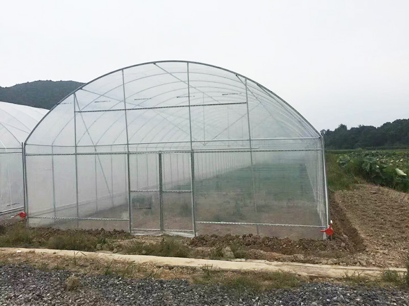 来宾市薄膜大棚鱼菜共生 - 一站式服务